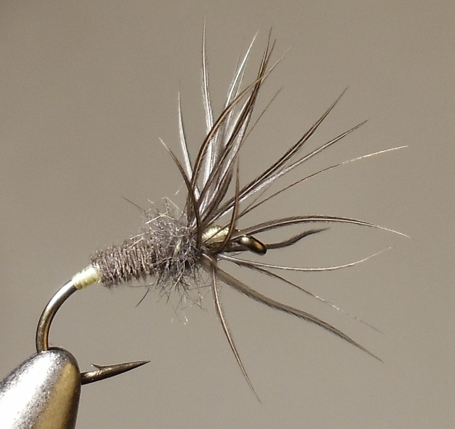 Collared Peccary Soft-Hackle Wet Fly